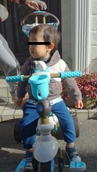 SmartTrikeな三輪車