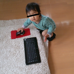 キーボードとマウスで遊ぶこでこ