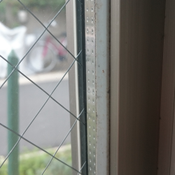 ゴムパッキンのカビ　掃除前